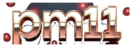pm11 logo
